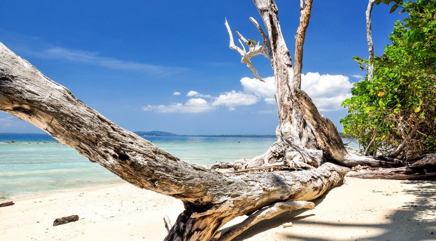Best time to visit Andaman