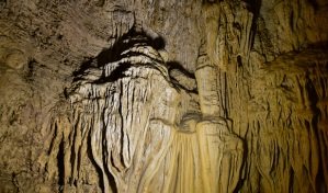 Baratang limestone caves excursion