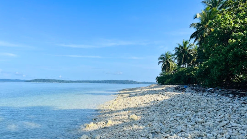 Avis Island