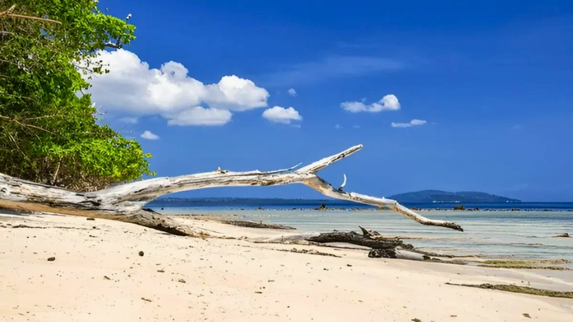 Trekking to Elephant Beach: Ditch the Boat on Havelock Island