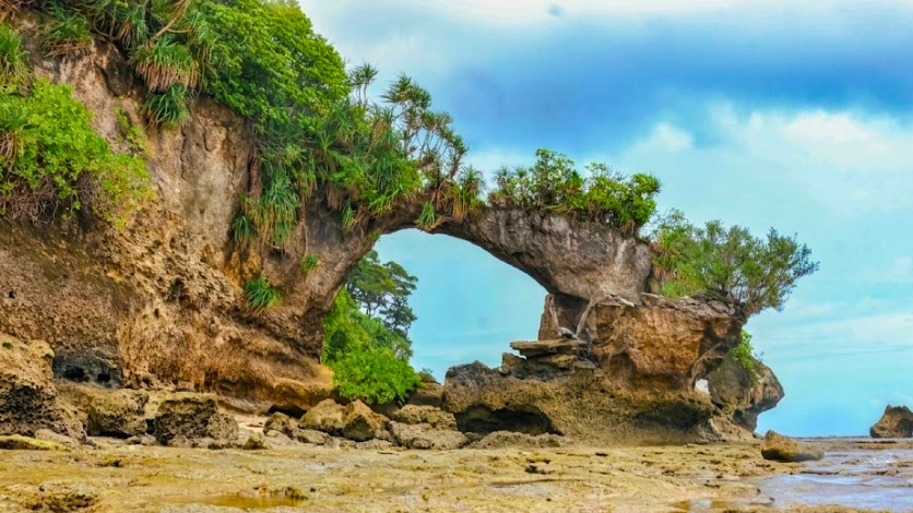 Best Time to Visit Andaman Islands
