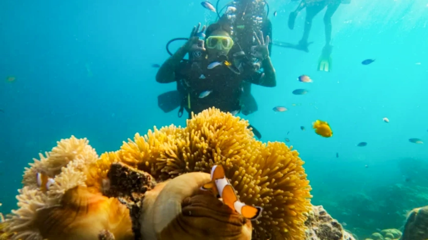 Scuba Diving at Havelock Island