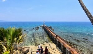 Ross Island and North Bay tour