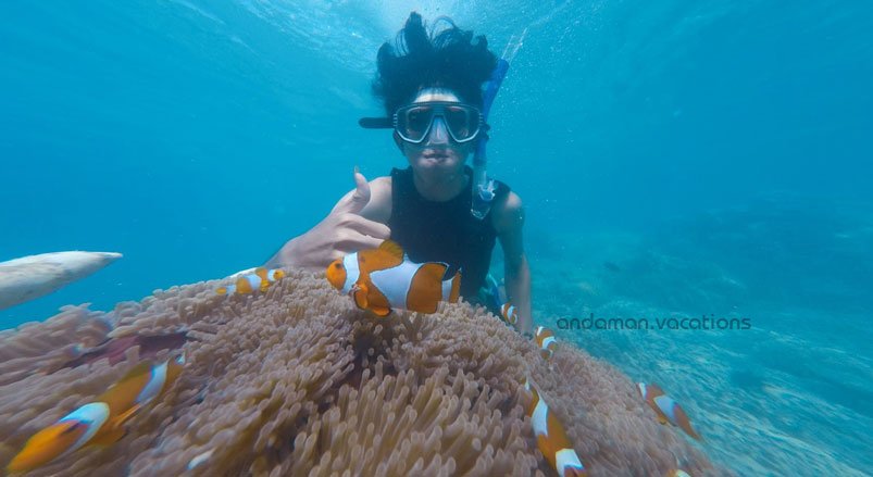 Snorkeling in Andaman